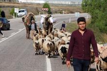 3 gün süren Yörük göçü