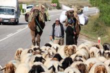 3 gün süren Yörük göçü