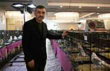 Bu güvercinlerin fiyatı dudak uçaklatıyor