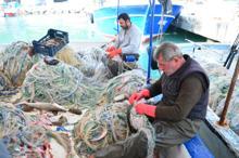 İnsan yüzlü sapan balığının nesli tehlike altında