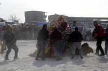 Güreşlerin ilk kadın ağası!