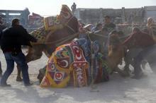 Güreşlerin ilk kadın ağası!