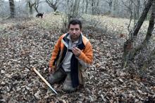 Trüf mantarı uzmanı: Türkiye'de, Avrupa'daki kadar ilgi görmüyor