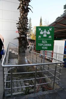 Yer: Antalya... Gören şaşıp kalıyor