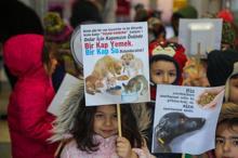 Anaokulu öğrencileri kedi evi tasarladı