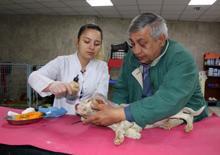 Kanlar içinde bulundu