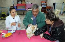 Kanlar içinde bulundu