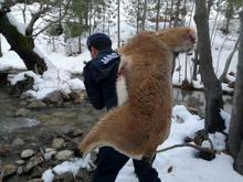 Yüzlerce metre taşıdı