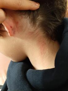 'Oğlunuz öğretmenini dövdü' diye arandı, gerçek çok farklı çıktı