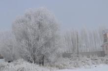 Çaldıran buz tuttu