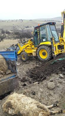 240 küçükbaş telef oldu, köy karantinada