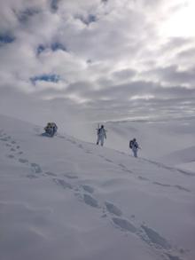 Hakkari'de, 'Kapan-3 Kavaklı Operasyonu' başlatıldı