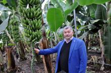 Yerli muz piyasa lideri oldu