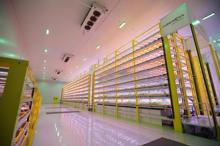 Türkiye'nin ilk bitki fabrikası