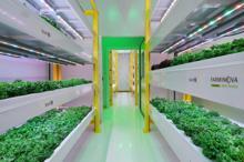 Türkiye'nin ilk bitki fabrikası