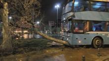Kartal Sahilyolu'nda halk otobüsü durağa daldı: 3'ü ağır, 5 yaralı