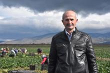 Sezon sonuna doğru ıspanak tahtını geri alıyor