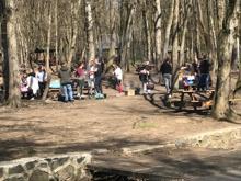 Belgrad Ormanı'nda yasağa rağmen mangala devam