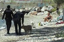 Yasağa aldırmadı! Çok sayıda kişiye ceza yağdı