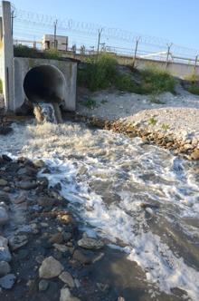 Denizin rengi değişti, çevreye ağır koku yayıldı