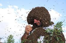 'Arı Adam', Çin'in dünya rekorunu kırmak için binlerce arıyı üzerinde topladı