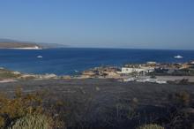 Alaçatı'da korkutan yangın