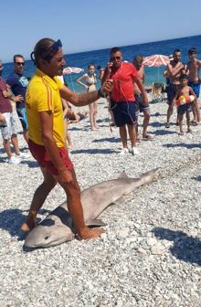 Antalya'da köpek balığı ölüsü kıyıya vurdu