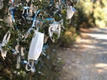 Büyükada'da tepki çeken görüntü