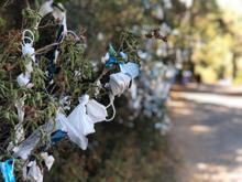Büyükada'da tepki çeken görüntü