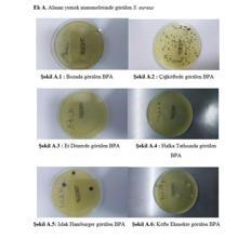 İstanbul'daki araştırmada ürküten sonuç; sokakta satılan ürünler tehlike saçıyor