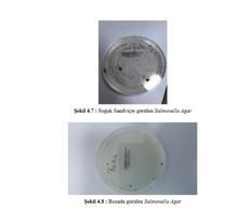 İstanbul'daki araştırmada ürküten sonuç; sokakta satılan ürünler tehlike saçıyor