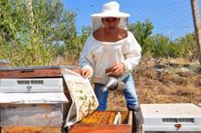 Kilosu 700 bin TL'ye satılıyor... Yeni Zelanda, İngiltere ve Almanya'dan talep yağıyor