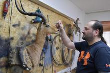 Tahnit ustası, ölen hayvanları gelecek nesillere tanıtıyor