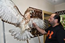 Tahnit ustası, ölen hayvanları gelecek nesillere tanıtıyor