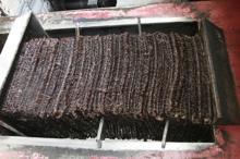 Asırlardır geleneksel yöntemlerle zeytinyağı üretiyorlar