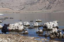 Van Gölü çekilince dünyanın en büyük mikrobiyalitleri gün yüzüne çıktı