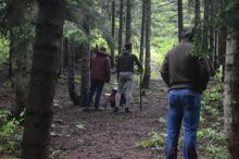 Rize’de ayılar, 25 yayla evine zarar verdi