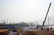 Aç kalan kuşlar, yem fabrikasını mesken tuttu