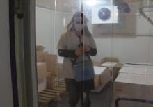 Filyasyonda yeni dönem: Mutant virüs tehlikesi, algoritmaları değiştirdi