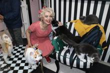 Mardinli Marilyn Monroe, kedi sığınma evi kurdu