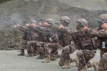 Kadın özel harekat ekiplerinin operasyon anını DHA görüntüledi