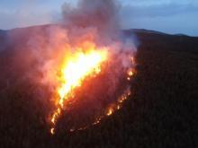 Muğla'da 5'er dakika arayla ormanlık iki alanda yangın