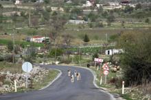 Baharın gelmesiyle Yörüklerin göçü başladı