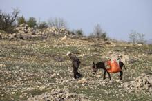 Baharın gelmesiyle Yörüklerin göçü başladı