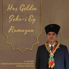 Kuzey Marmara Otoyolu'nda feci kaza! Fahri konsolos ile eşi ve 2 kişi yaşamını yitirdi