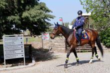 5 bin yıllık Troya için yıkım olan at, bugün güvenliği sağlıyor