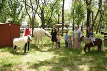 Hipodromlardaki anneler