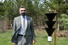 Ormanları kurutan '12 dişli kabuk böceği' ile kapanlı mücadele