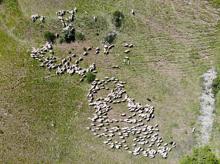 Çobanlık yaparken Robert Lisesi'ni kazandı, sırada Tilburg Üniversitesi var