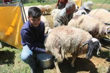 Çobanlık yaparken Robert Lisesi'ni kazandı, sırada Tilburg Üniversitesi var